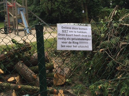 Joe Englishstraat De bomen aan het speelplein aan de Joe Englishstraat werden toch gerooid.
